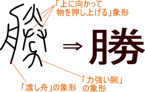 傘字|「傘」という漢字の意味・成り立ち・読み方・画数・部首を学習